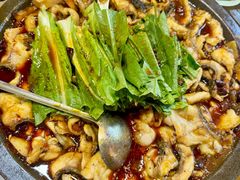 -都江堰石锅鱼