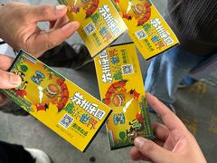 -苏州梦幻乐园