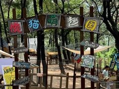 -沂蒙山旅游区云蒙景区(蒙山国家森林公园)