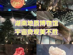-湖南省地质博物馆