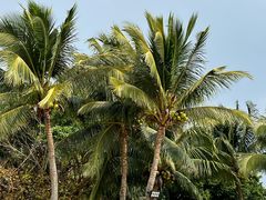 -石梅湾艾美度假酒店