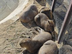 -茅山东方盐湖城景区