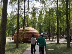 -黄海国家森林公园