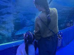 -左海海底世界