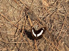 -芦仙山景区-飞越丛林探险乐园