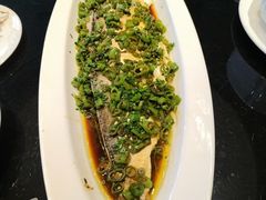 -新雅粤菜馆(南京东路店)