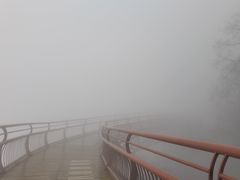 -少华山国家森林公园