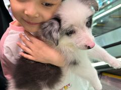 -Oh My Dog宠物沙龙(伊珊娜皮毛护理店)