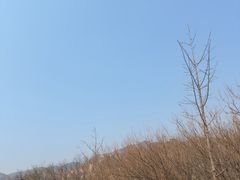 -北京凤凰岭