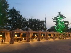 -青岛海景花园大酒店·白果树餐厅青岛菜