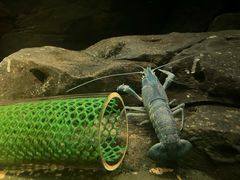 -上海海洋水族馆