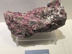 -安徽省地质博物馆