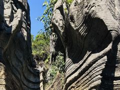 -梭布垭石林景区