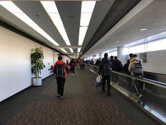 -奥黑尔国际机场