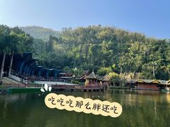 -西双版纳原始森林公园