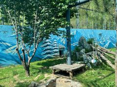 -青藏高原野生动物园