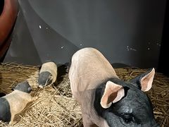 -E+有冰工厂·昆仑寒宫2(五角场店)