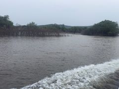 -珍宝岛