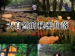 -长白岛森林公园