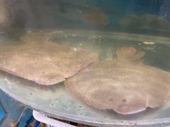 -鑫渔港海鲜本地菜·山海关浑锅(东戴河店)