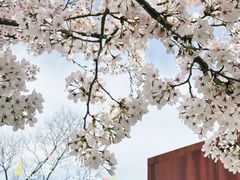 -龙美术馆(西岸馆)