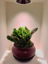 -FUMEIHUI·科技美肤·美体SPA