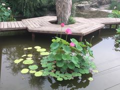 -抱犊寨风景区