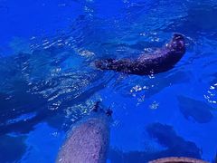 -海合安青岛极地海洋公园