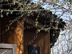 -春风习习
