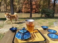 -上海海湾国家森林公园