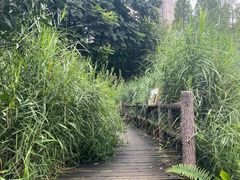 -成都市活水公园