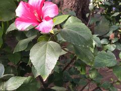 -南通洲际绿博园