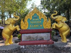 -西双版纳傣族园
