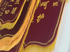 -初心动物医院