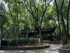 -上海佘山国家森林公园天马山园