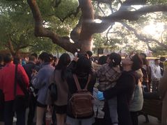 -西湖外事游船(湖滨二公园外事游船码头)