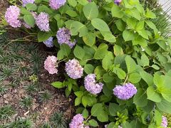 -西北湖绿化广场