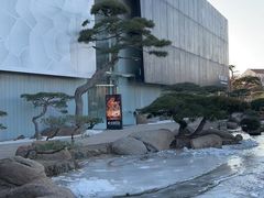 -罗红摄影艺术馆