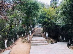 -云碧峰国家森林公园