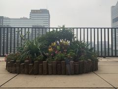 -一品淮扬 · 淮扬菜·北京万达文华酒店