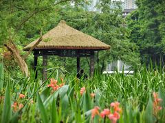 -重庆彩云湖湿地公园