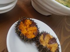 活海胆-海胆小馆(春柳店)