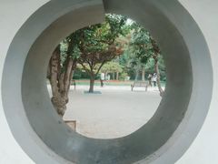 -团结湖公园