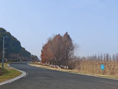 -阳澄湖半岛旅游度假区