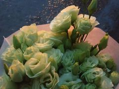 -秦美花卉(天朗·莱茵小城2期店)