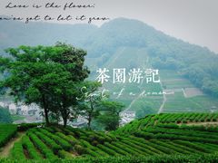 -西湖风景区十里琅珰-五云山