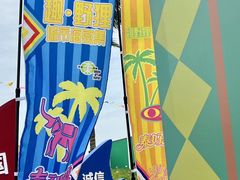 -野狸岛