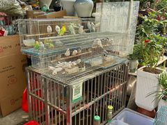 -苏州市皮市街花鸟工艺品市场