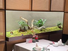 -许家菜(DT51店)