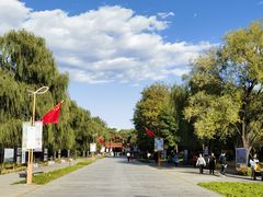 -野鸭湖国家湿地公园